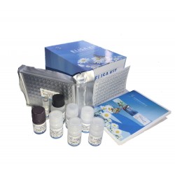 Standard Educational Assay...